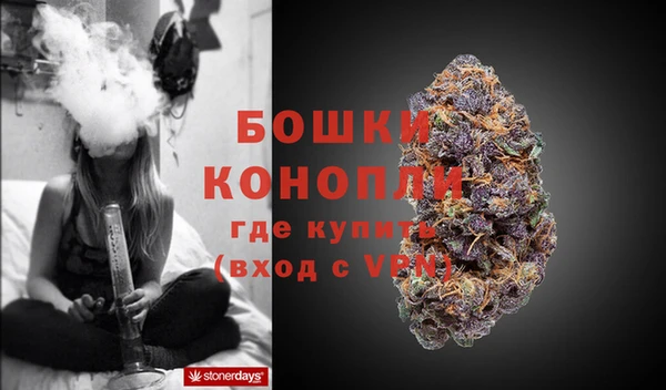 шишки Алзамай