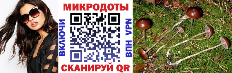 Псилоцибиновые грибы ЛСД  купить  сайты  Приволжск 